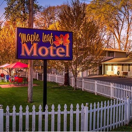 Maple Leaf Motel Shady Cove Exterior foto